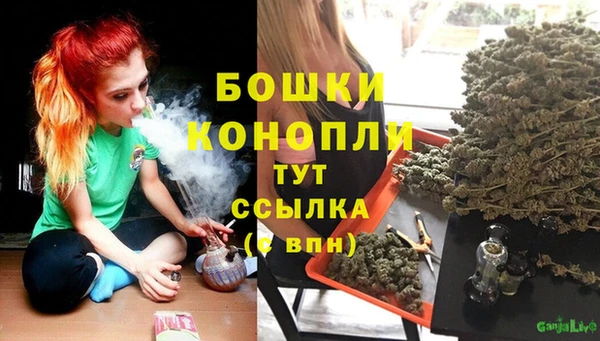 дживик Касимов
