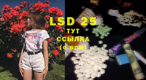 дживик Касимов