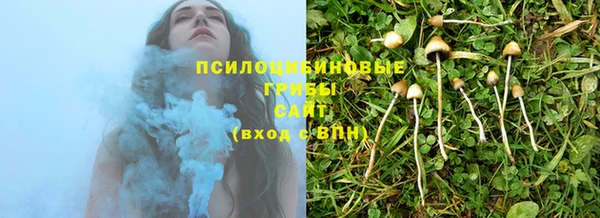 кокс Каменка