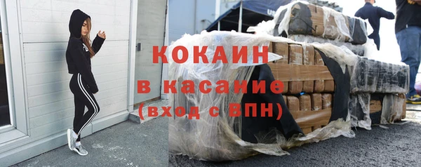 гидра Каменногорск